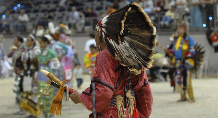 ¿Qué comieron los indios apaches?