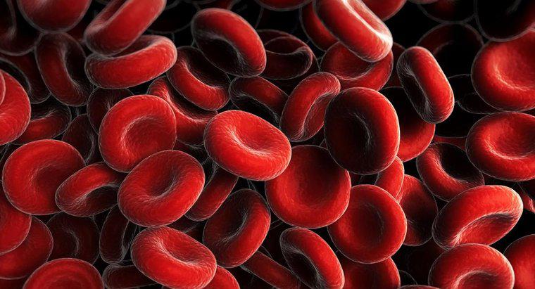 ¿Qué causa que su recuento de glóbulos rojos sea bajo?