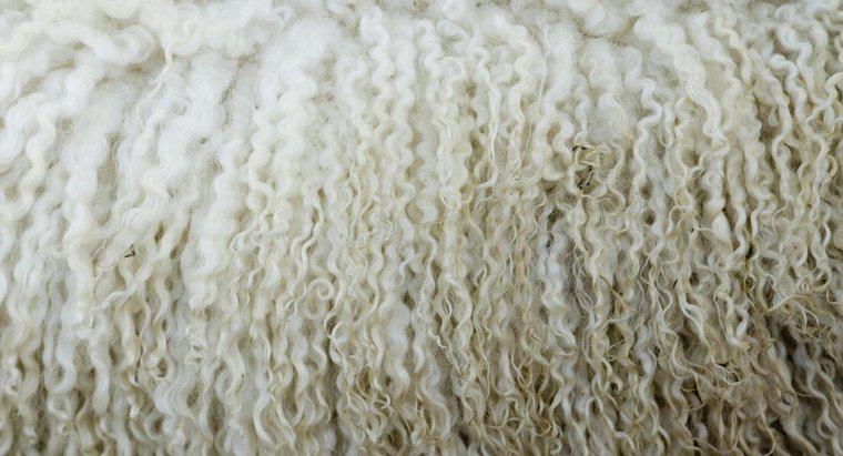 ¿Cuál es la diferencia entre lana virgen y lana regular?