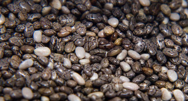 ¿Cuáles son los efectos secundarios de las semillas de chía?