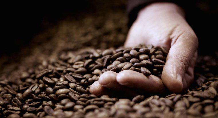 ¿Se puede comer granos de café?