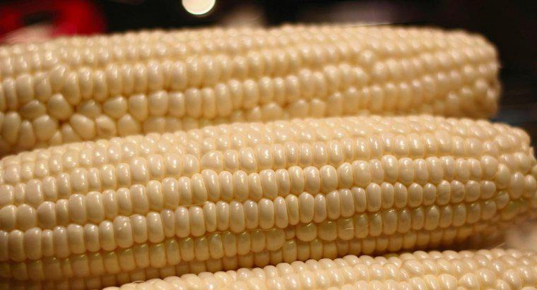 ¿Por qué necesitas blanquear el maíz en la mazorca antes de congelarlo?