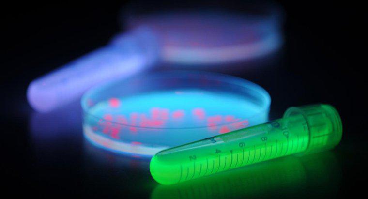 ¿Cómo inhiben las bombillas de luz UV el crecimiento bacteriano?