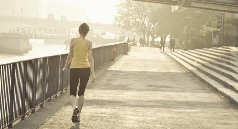 ¿Cuántas calorías puedes quemar caminando 8 millas?