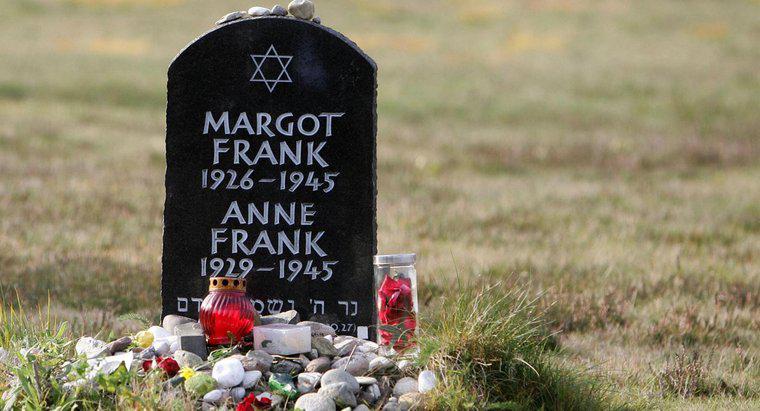 ¿Cuáles fueron los principales logros de Ana Frank?