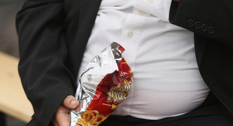 ¿Cuál es el propósito de la grasa en el cuerpo?