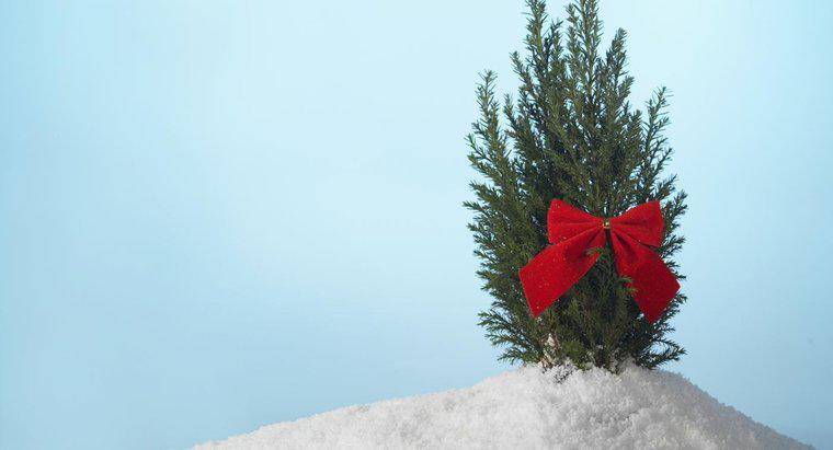 ¿Cómo se cuelga la cinta del árbol de Navidad?