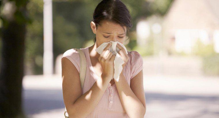 ¿Las alergias estacionales pueden causarle mareos?