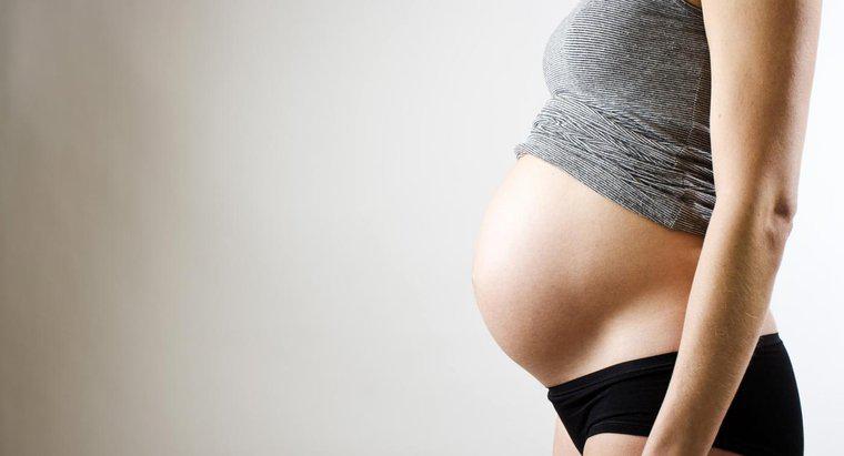 ¿Se puede producir leche en el embarazo temprano?