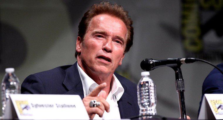 ¿Cuánto podría Arnold Schwarzenegger Bench Press?