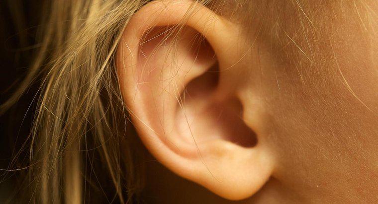 ¿Cómo se quita la cera del oído?