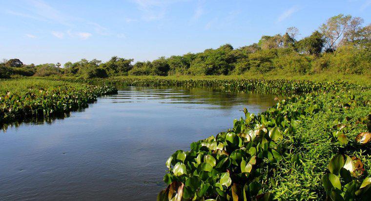¿En qué continente se encuentra el río Amazonas?