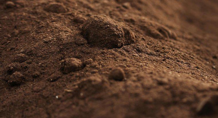 ¿Cuáles son algunos de los diferentes tipos de suelo?