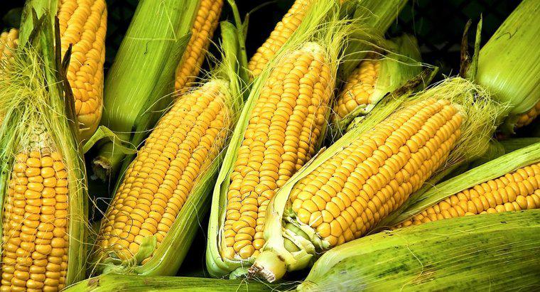¿Es el maíz un almidón o verdura?