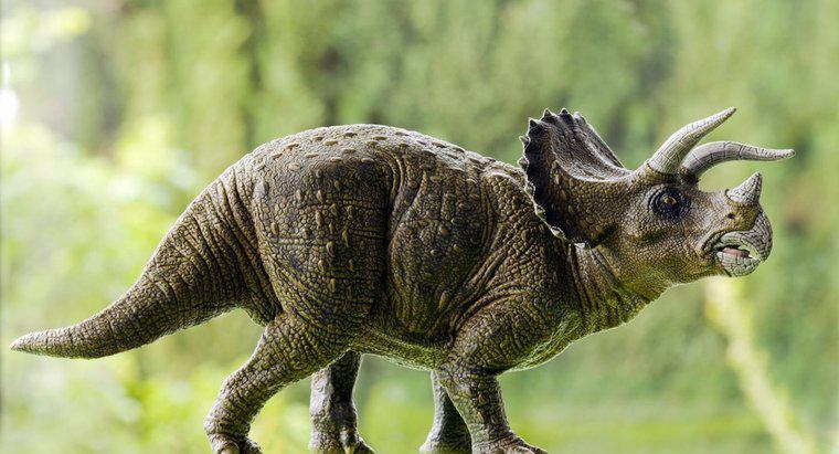 ¿Qué Comió Triceratops?