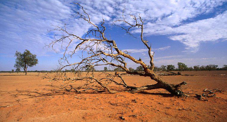 ¿Cómo se forman las sequías?