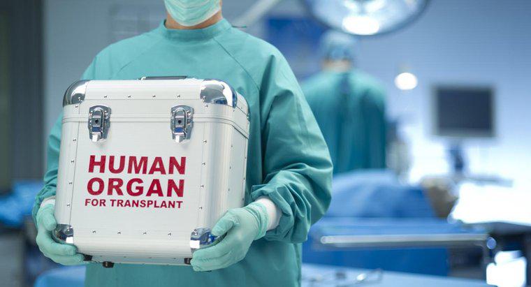 ¿Cuándo se inventó el trasplante de corazón?