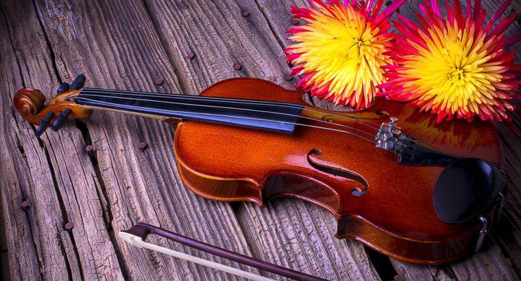 ¿Cuáles son algunos hechos interesantes sobre el violín?
