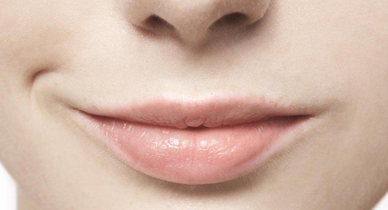 ¿Qué causa las llagas en la boca?