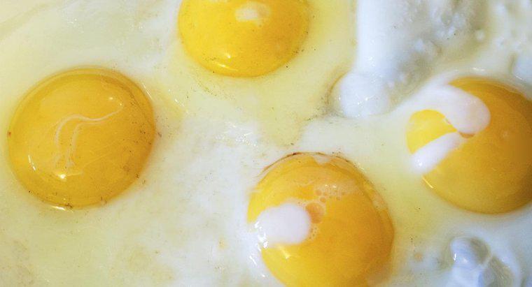 ¿Quién fue la primera persona en comer un huevo?
