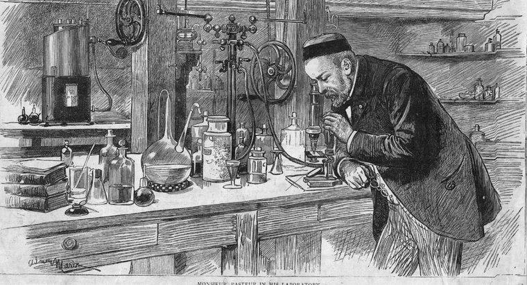¿Qué descubrió Louis Pasteur?