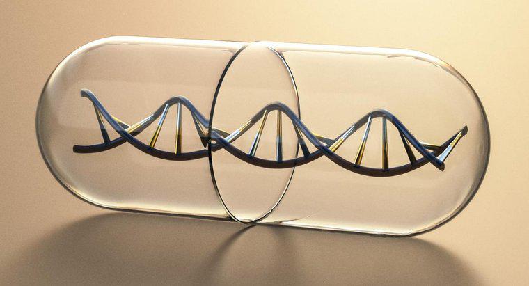 ¿Qué conforma los lados de la escalera de una molécula de ADN?