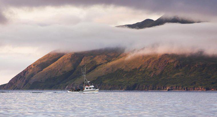 ¿Qué grupo de islas pequeñas forma la larga cola de Alaska?